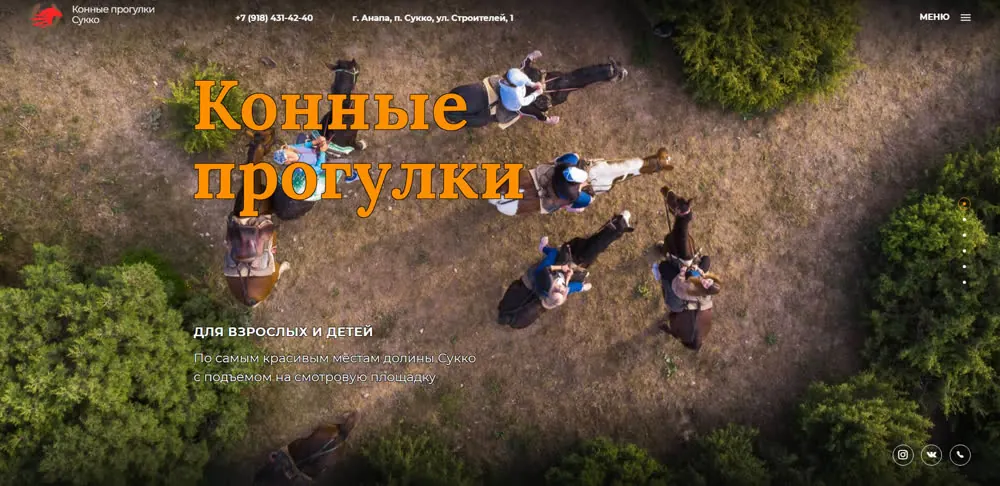 Скриншот результатов рекламы конных прогулок, 1